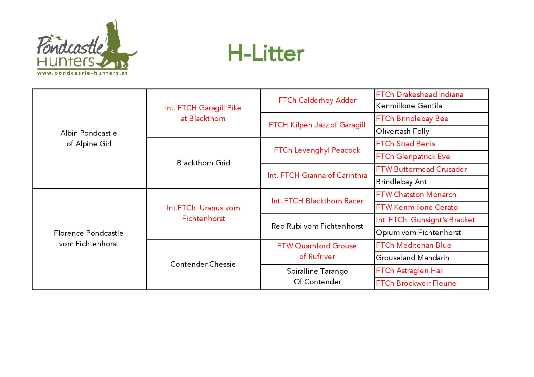 Pedigree H Litter
